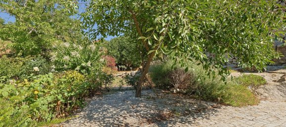 4 Schlafzimmer Haus in Vila Flor, Portugal, Nr. 175128 10