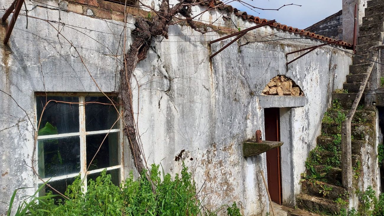 3 غرف نوم منزل في Vila de Rei, Portugal رقم 42192