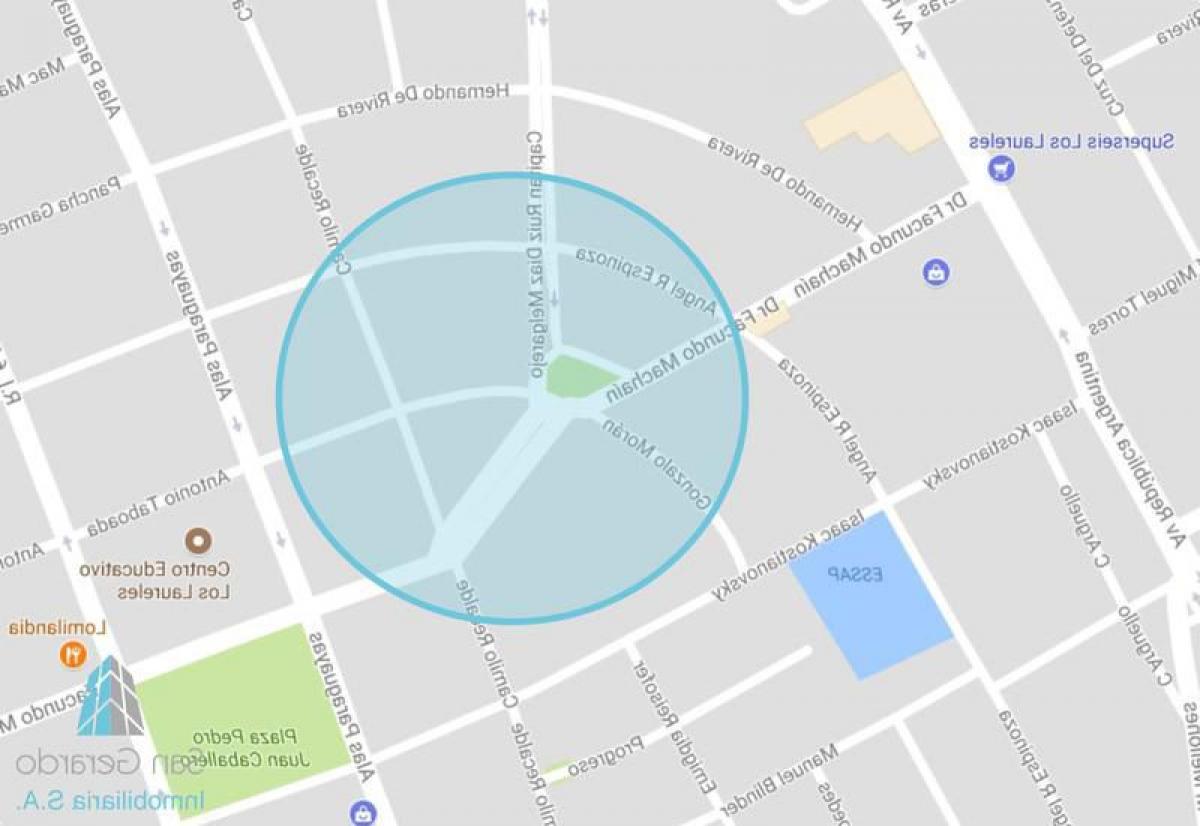  Land in Santa Fe, Argentina No. 45041