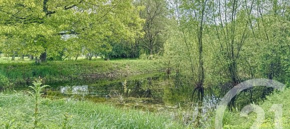 5 bedrooms House in Romorantin-Lanthenay, France No. 80886 2