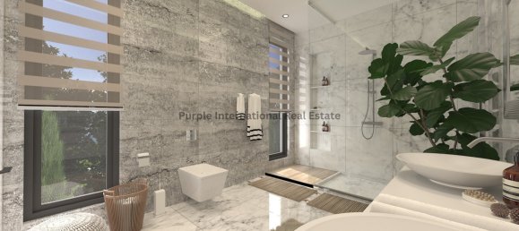 7 Schlafzimmer Villa in Kissonerga, Cyprus, Nr. 1080 2