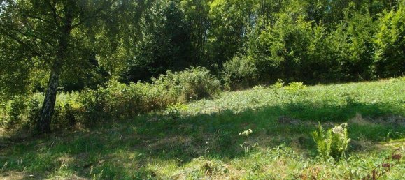 Земельный участок 1267м² в Кирксхлаг ин дер Буклиген Велт, Австрия № 146834 4