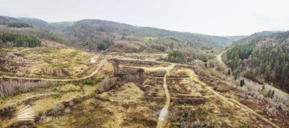 227119m² Land in Stadtschlaining, Austria No. 162222 3