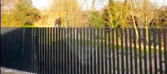 3 bedrooms House in Soutelo, Portugal No. 182659 25