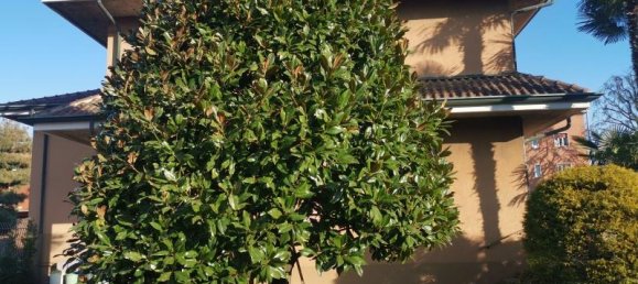 Villa de 6 habitaciónes en Cesano Maderno, Italy No. 237756 8