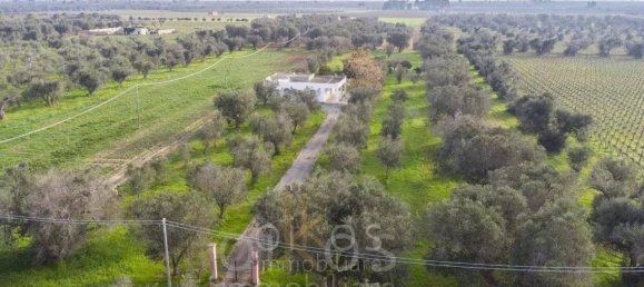 5غرفة فيلا في Oria, Italy رقم 32989 23