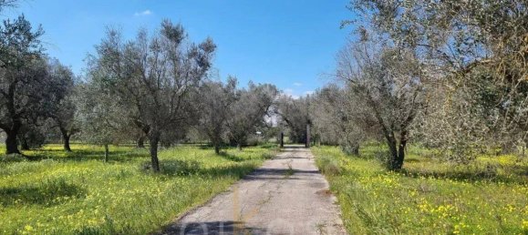 5غرفة فيلا في Oria, Italy رقم 32989 21