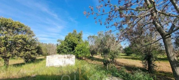 5غرفة فيلا في Oria, Italy رقم 32989 19