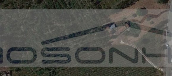 44420m² Land in Marinha Grande, Portugal No. 129125 4