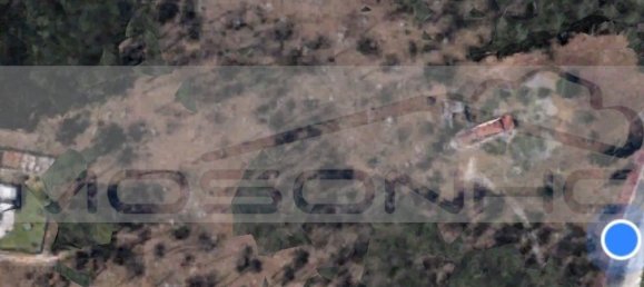 44420m² Land in Marinha Grande, Portugal No. 129125 5