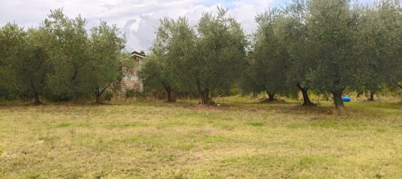 5 rooms Villa in Palombara Sabina, Italy No. 281235 33