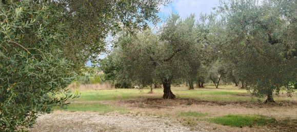 5 rooms Villa in Palombara Sabina, Italy No. 281235 30