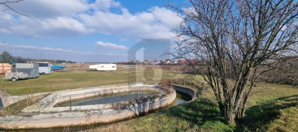 Propriété commerciale à Markgrafneusiedl, Austria No. 198461 3