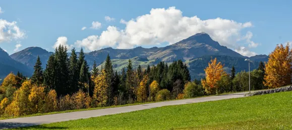  قطعة أرض في St. Jakob in Haus, Austria رقم 15835 4