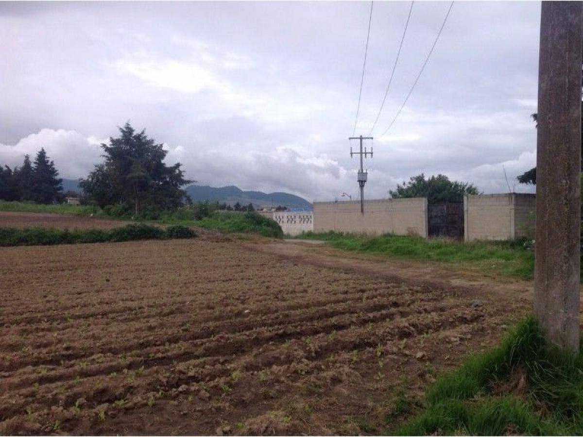 Terrain à Rayon, Mexico No. 202653