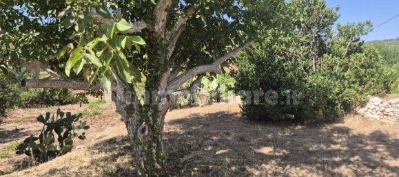 2 bedrooms House in Ostuni, Italy No. 289577 19