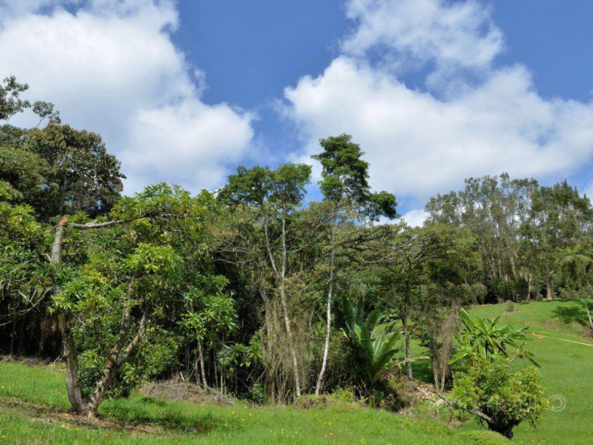  Land in Antioquia, Colombia No. 449