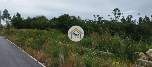 Grundstück in Barcelos, Portugal 2000m², Nr. 55924 4