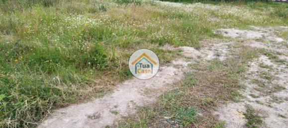 Grundstück in Barcelos, Portugal 2000m², Nr. 55924 15