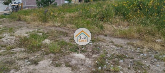 Grundstück in Barcelos, Portugal 2000m², Nr. 55924 9