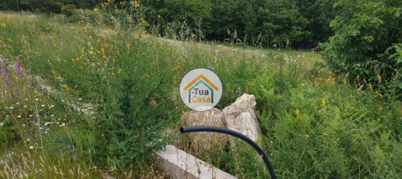 Grundstück in Barcelos, Portugal 2000m², Nr. 55924 2