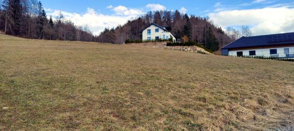  قطعة أرض في St. Peter am Kammersberg, Austria 717متر مربع رقم 130609 5