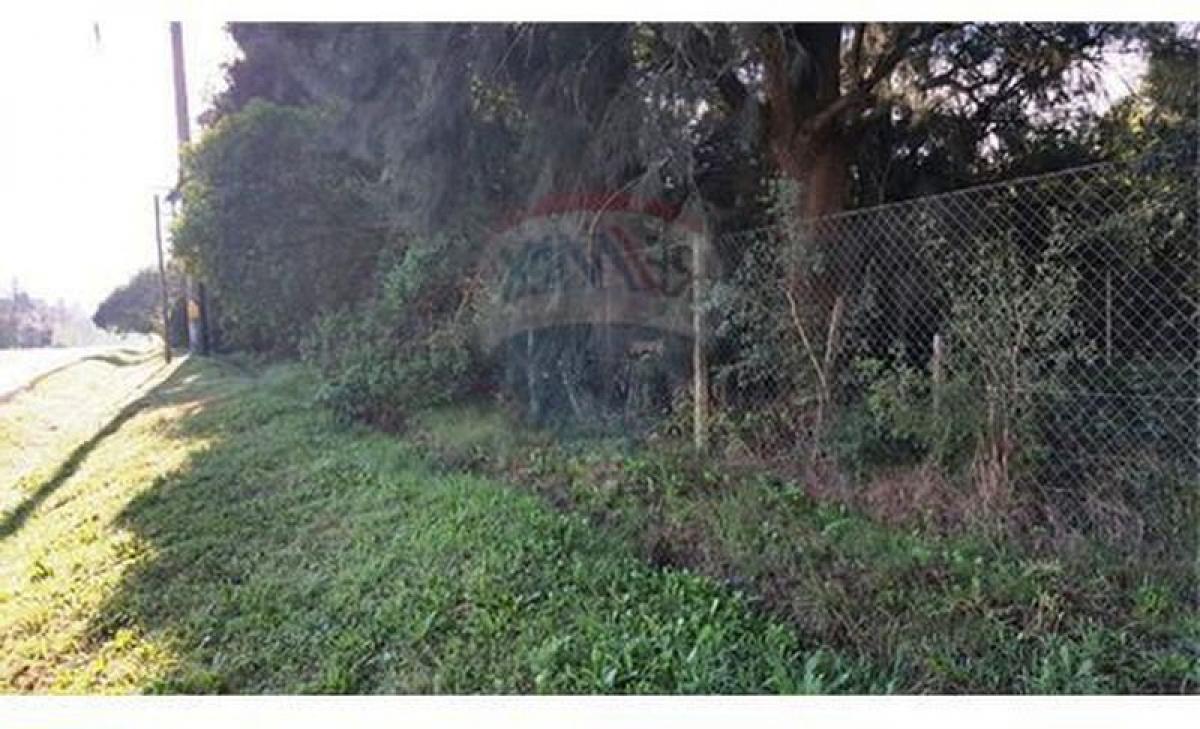 Grundstück in Campo Creado, Argentina, Nr. 43370