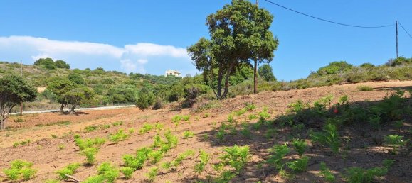 Hotel in Corfu, Greece 5064m², Nr. 52538 12