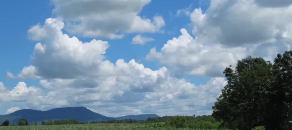 8000m² Land in Pak Chong, Thailand No. 68431 5