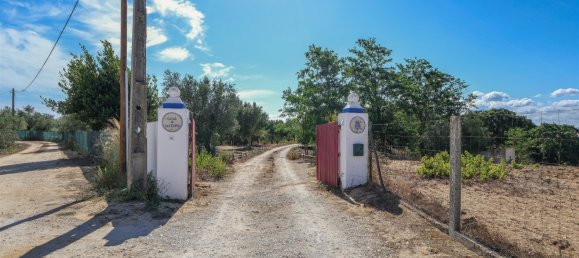 8 bedrooms Land in Cartaxo, Portugal No. 140272 37