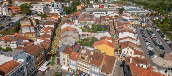 2 Schlafzimmer Haus in Agueda, Portugal, Nr. 20499 43
