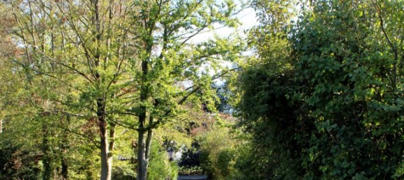 3 bedrooms Bungalow in Nienburg, Germany No. 174426 12