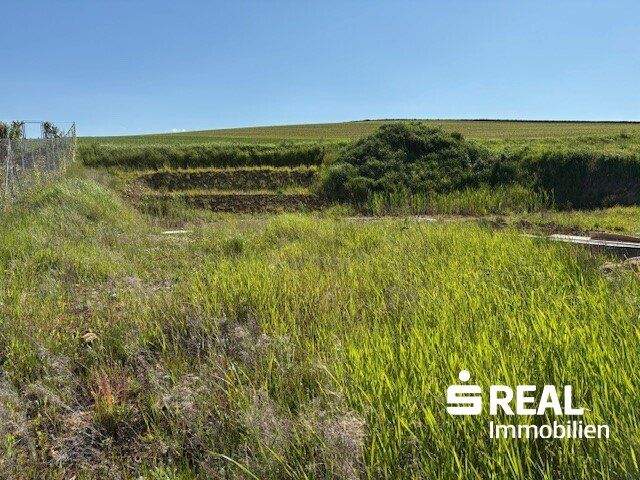 Terrain à Pennewang, Austria No. 149068