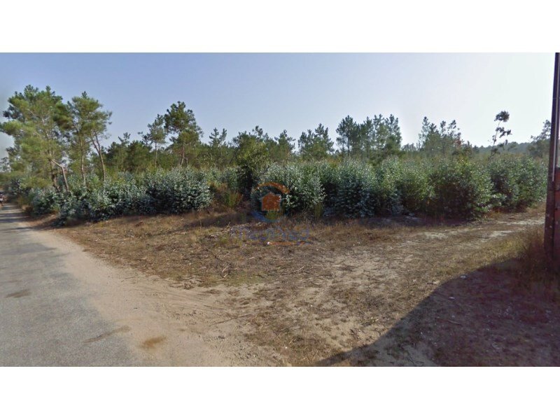 Terreno em Torres Vedras, Portugal 29999 m² N.º 348951