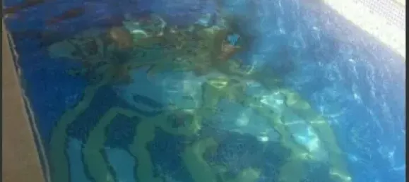 7 bedrooms House in Aguilas, Spain No. 171691 5