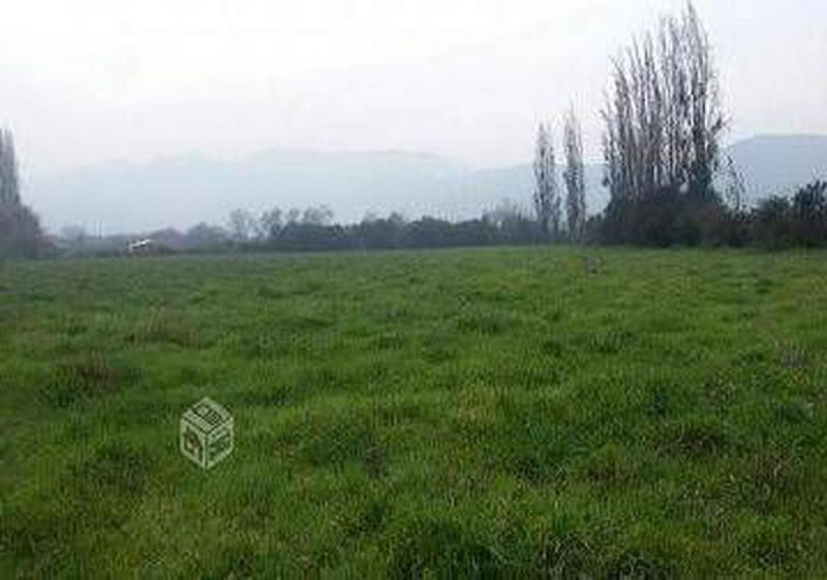 Terrain à Valparaiso, Chile No. 1293