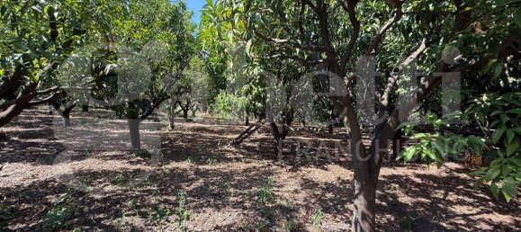 5000m² Land in Angri, Italy No. 348316 8