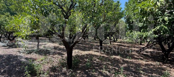 5000m² Land in Angri, Italy No. 348316 9