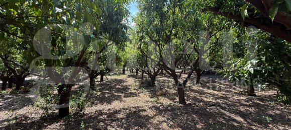 5000m² Land in Angri, Italy No. 348316 12