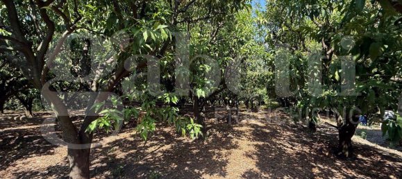 5000m² Land in Angri, Italy No. 348316 6