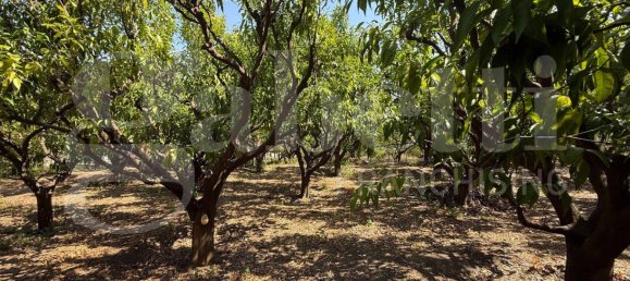 5000m² Land in Angri, Italy No. 348316 16