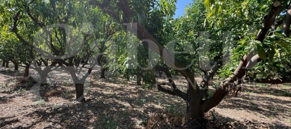 5000m² Land in Angri, Italy No. 348316 13