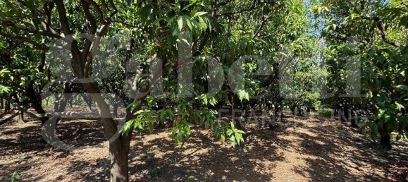 5000m² Land in Angri, Italy No. 348316 7