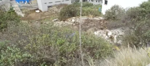 Terreno en La Guancha, Spain 1732 m² No. 169540 14