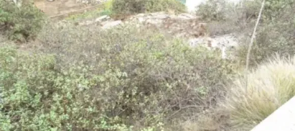 Terreno en La Guancha, Spain 1732 m² No. 169540 8