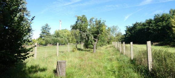 Дом с 5 комнатами в Бранденбург, Германия № 31062 7