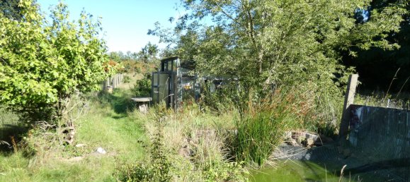 Дом с 5 комнатами в Бранденбург, Германия № 31062 8