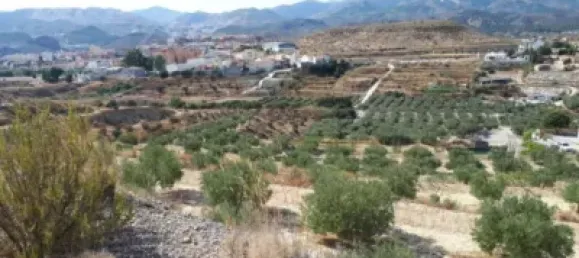 3 غرف نوم منزل في Almeria, Spain رقم 142921 3