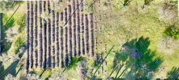 100m² Land in Monopoli, Italy No. 23053 17