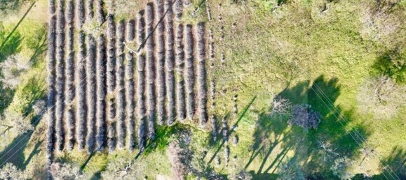 100m² Land in Monopoli, Italy No. 23053 18